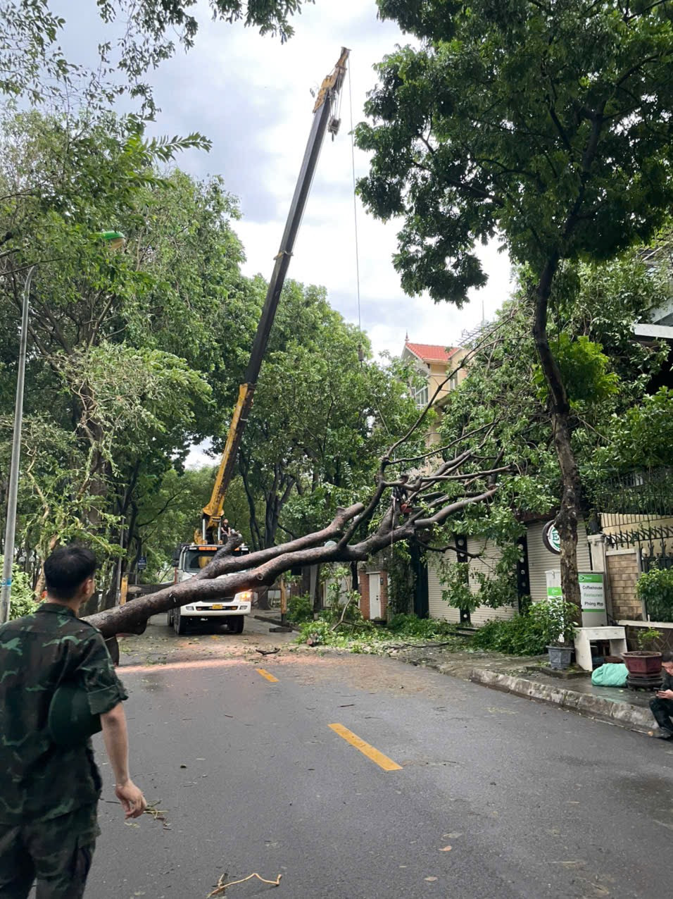 Xe cẩu được điều động xử lý cây gãy đổ to nằm ngang trên đường.