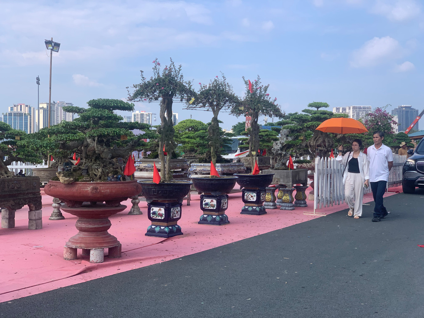 Tại Khu trường đua F1 (quận Nam Từ Liêm, Hà Nội), trong Festival Sinh vật cảnh Hà Nội lần thứ nhất năm 2024đã thu hút sự tham gia của 1.000 chủ thể, giới thiệu, trưng bày hơn 33.000 tác phẩm sinh vật cảnh - bonsai tiêu biểu đến từ 55 tỉnh, thành phố trên cả nước. Đây là một trong 17 sự kiện được tổ chức nhân kỷ niệm 70 năm Ngày Giải phóng Thủ đô (10/10/1954 - 10/10/2024).