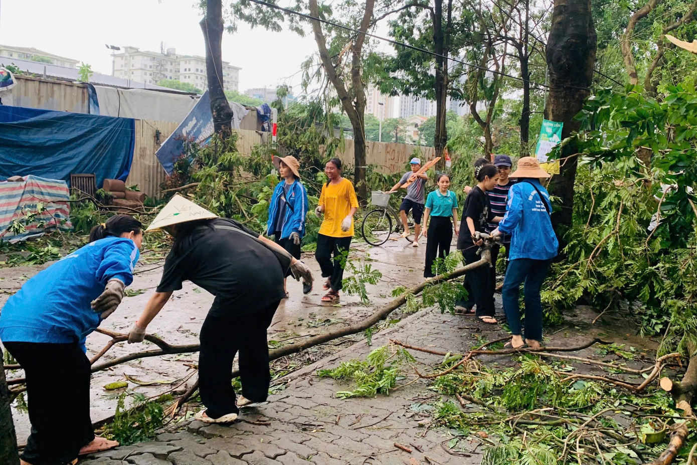 Ngay sau cơn bão Yagi đi qua, người dân cùng lực lượng chức năng phường Hoàng Liệt chung tay khắc phục hậu quả, giúp đỡ người dân, dọn dẹp, lưu thông các tuyến đường trên địa bàn khu đô thị đông dân nhất Thủ đô.