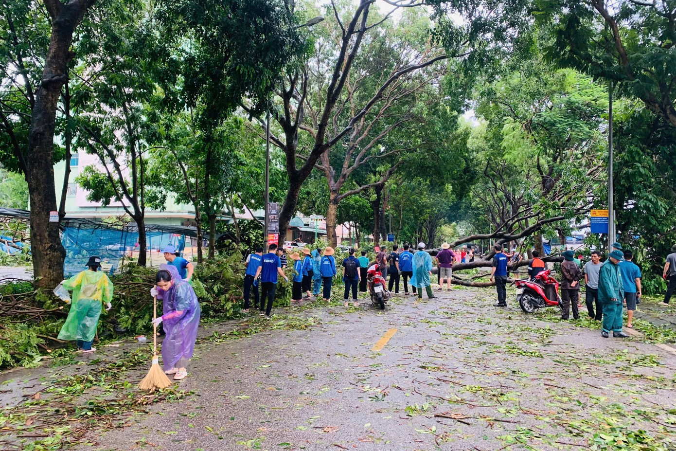 Ngay sau cơn bão, do cây đổ, giao thông nhiều tuyến phố tại khu đô thị Linh Đàm tê liệt.