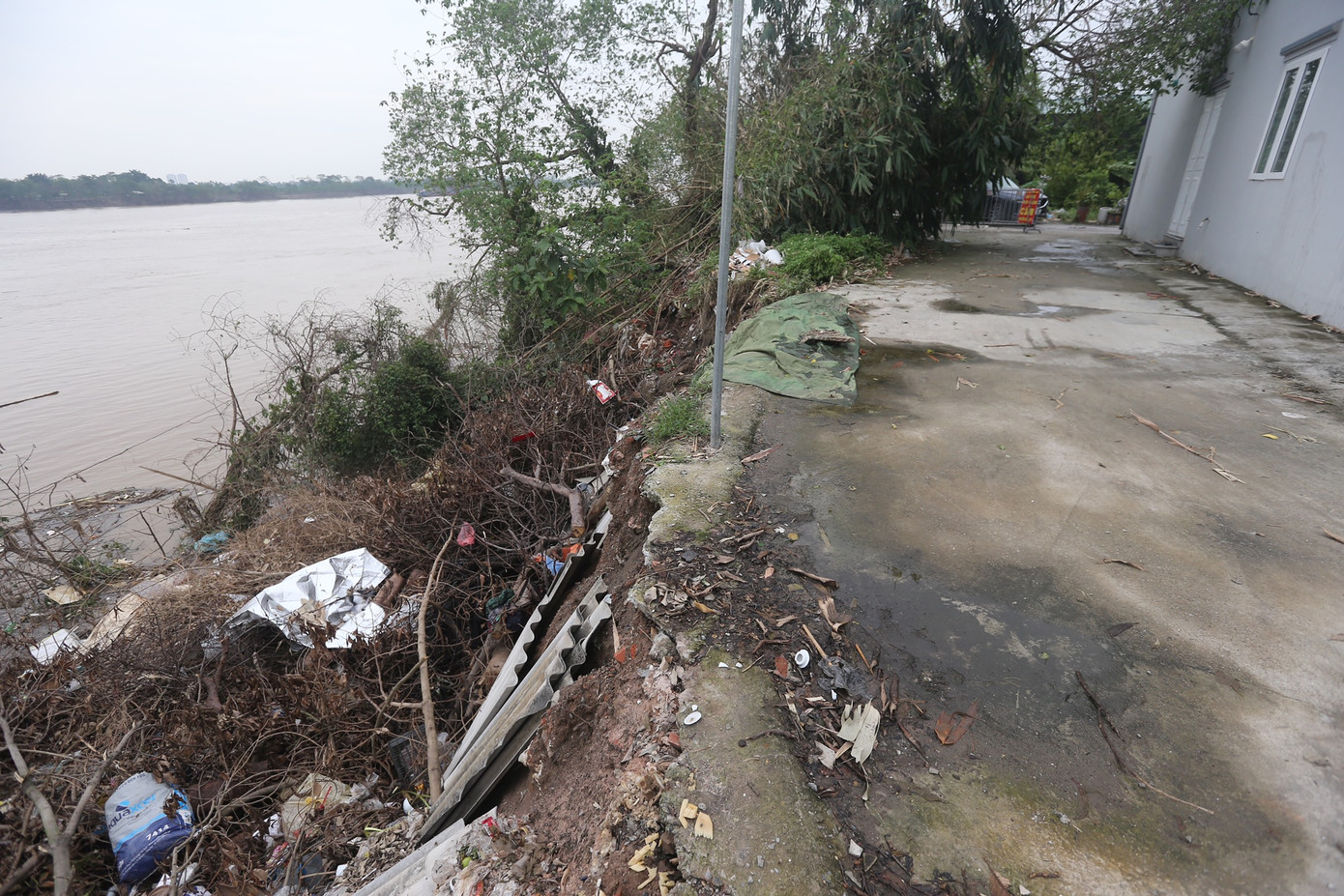 Nhiều đoạn sạt lở tại đê tả thuộc xã Kim Lan.