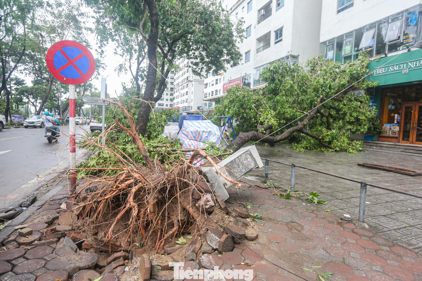 Hàng loạt cây xanh lớn xung quanh khu chung cư HH Linh Đàm gãy đổ sau đêm mưa bão.