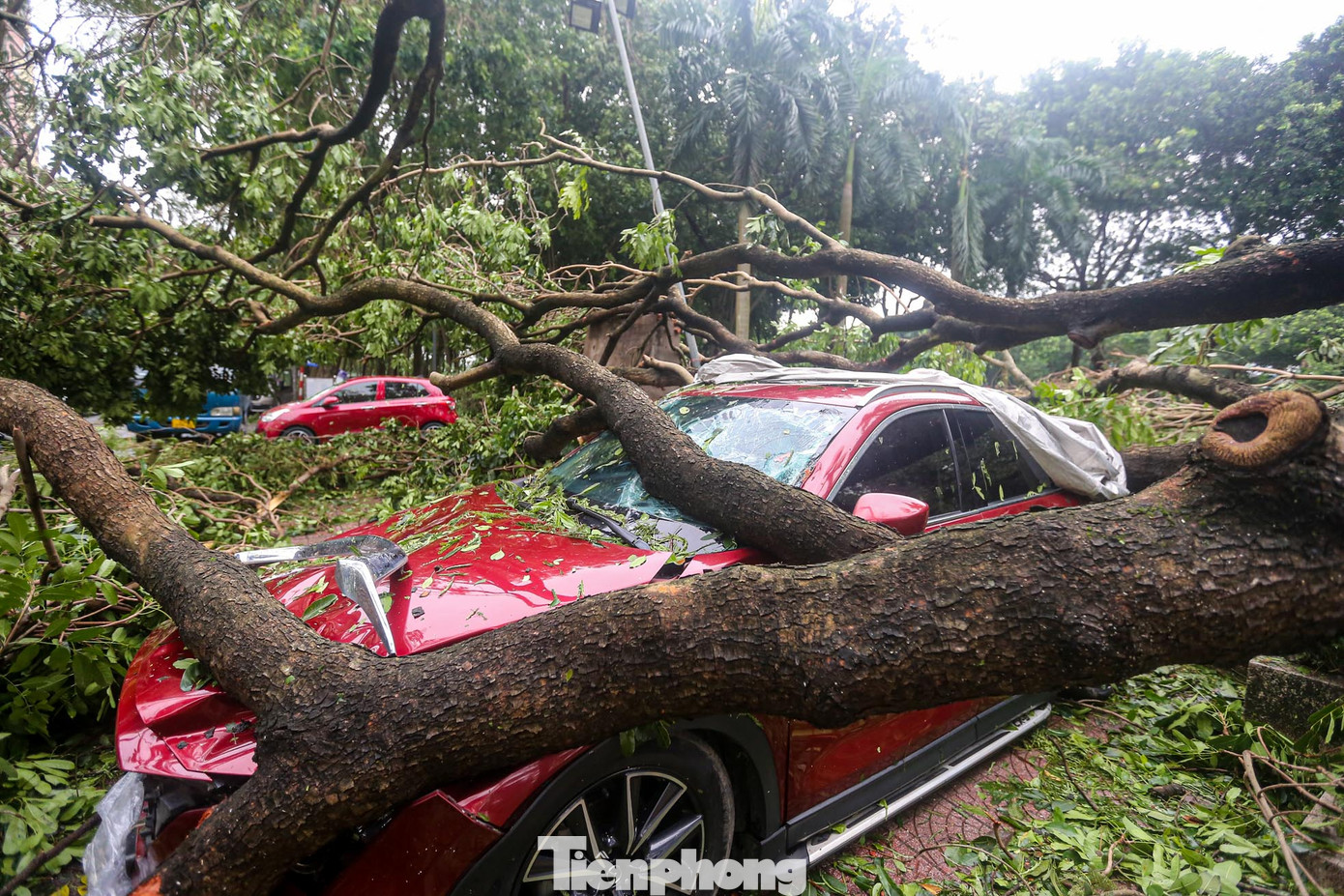 Hàng loạt ô tô bị bẹp dí sau bão Yagi.