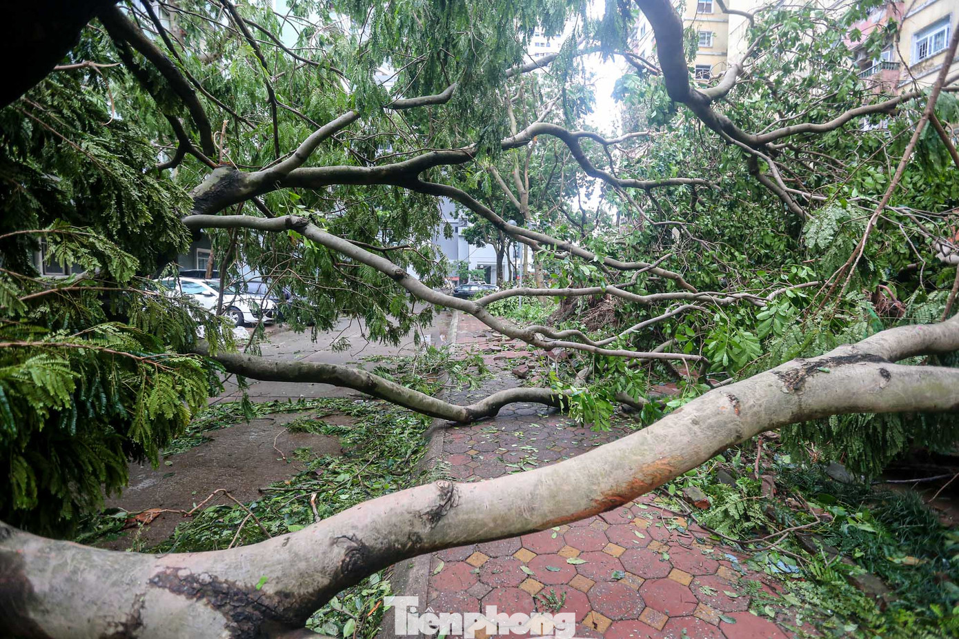 Hàng loạt lối đi đều bị bịt kín, giao thông tê liệt.