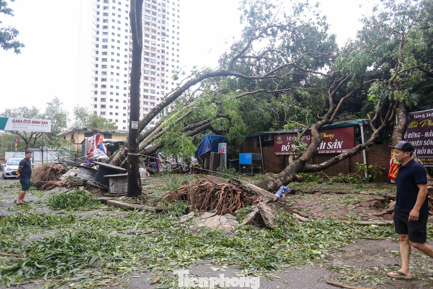 Một số nhà hàng hư hỏng do bị cây đè.