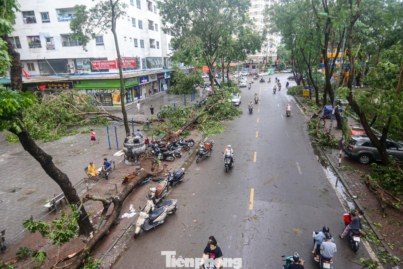 Ghi nhận của PV, khu đô thị Linh Đàm (quận Hoàng Mai), khu vực có mật độ dân cư dày nhất Thủ đô trở nên tan hoang, cây đổ hàng loạt, cuộc sống sinh hoạt của nơi vạn dân bị ảnh hưởng.