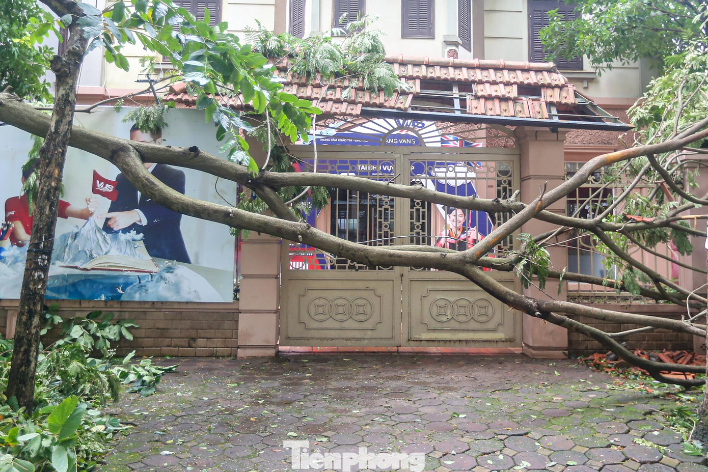 Một ngôi nhà bị chắn ngang bởi cây gãy đổ.