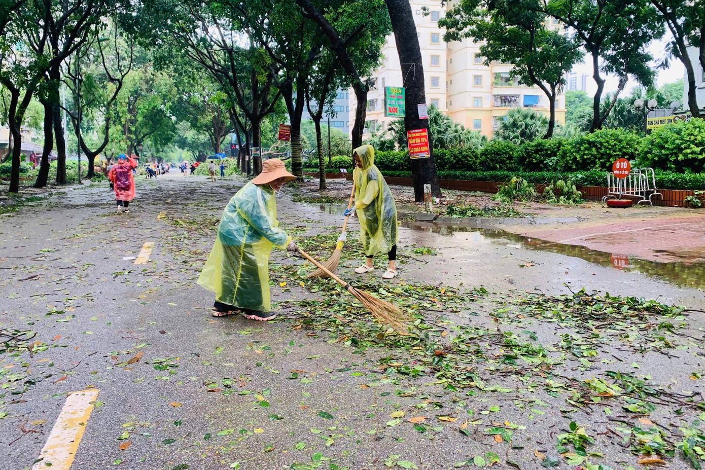 Người dân xuống đường cùng lực lượng chức năng quét lá rụng dưới đường để trả lại mỹ quan cho đô thị.