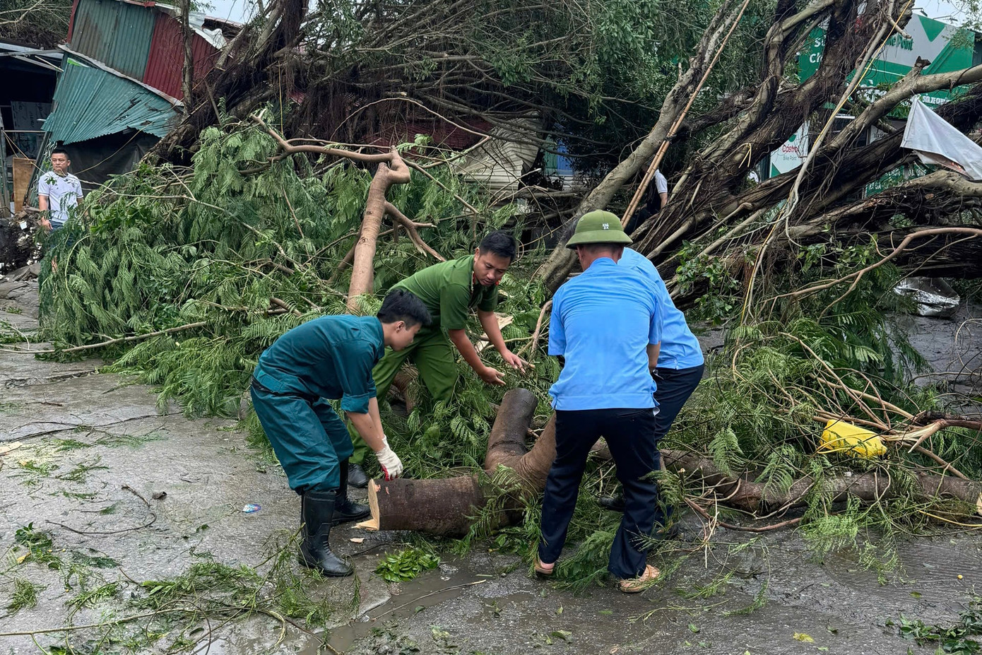 Công an phường cùng các đội nghiệp vụ vận chuyển các khúc gỗ lớn sau bão.