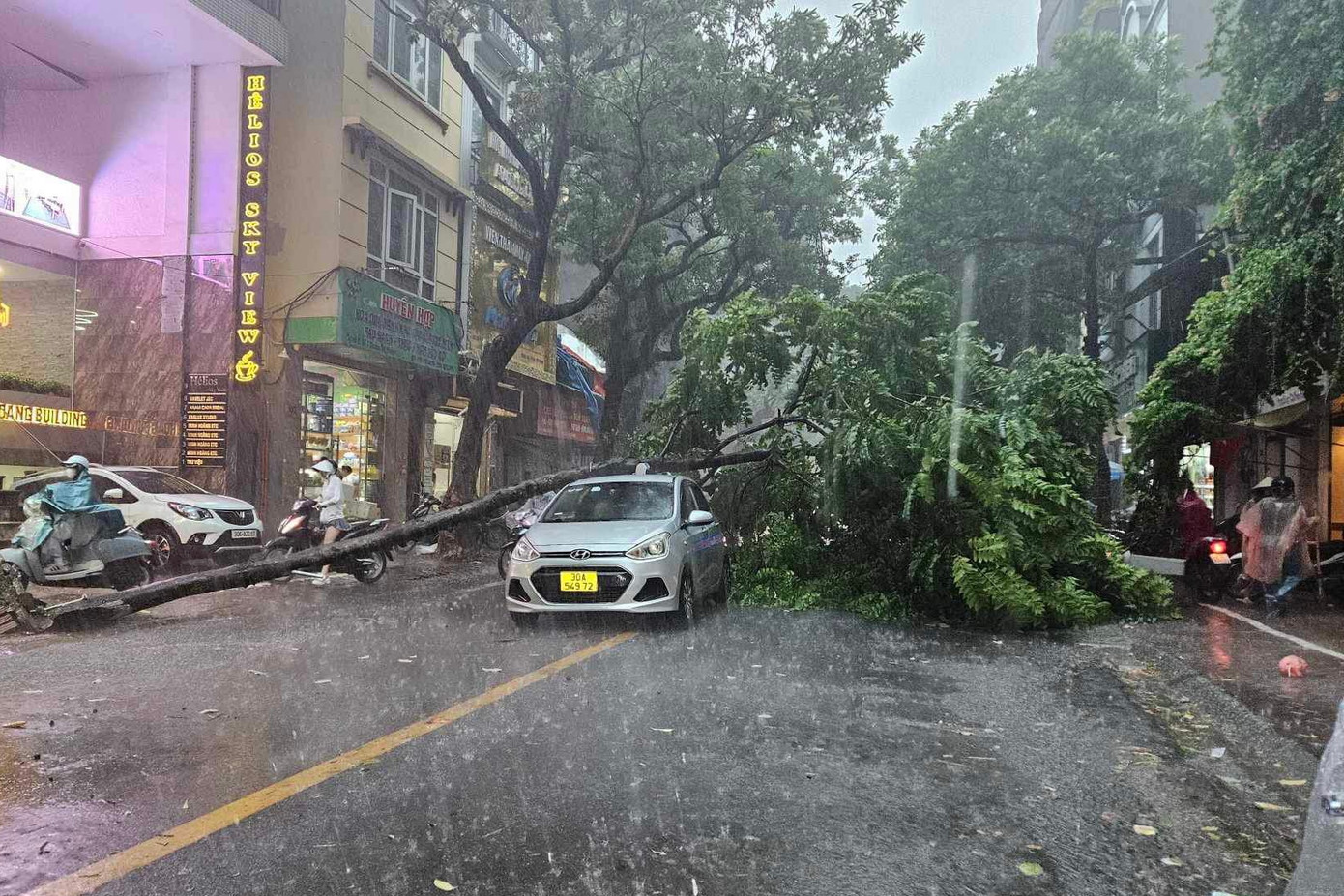 Cây đổ đè trúng ô tô trên phố Đoàn Thị Điểm (quận Đống Đa) Cây đổ đè trúng ô tô trên phố Đoàn Thị Điểm (quận Đống Đa)