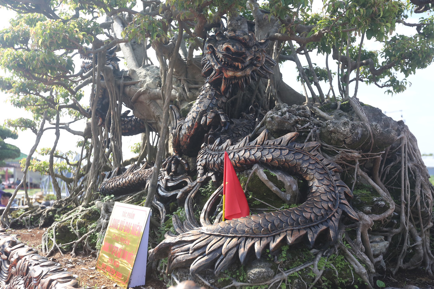 Chủ nhà vườn cho biết, tác phẩm được kết hợp giữa gốc sanh cổ trăm tuổi với tượng rồng bằng đồng uốn quanh cây tạo nên sự độc đáo cho tác phẩm.