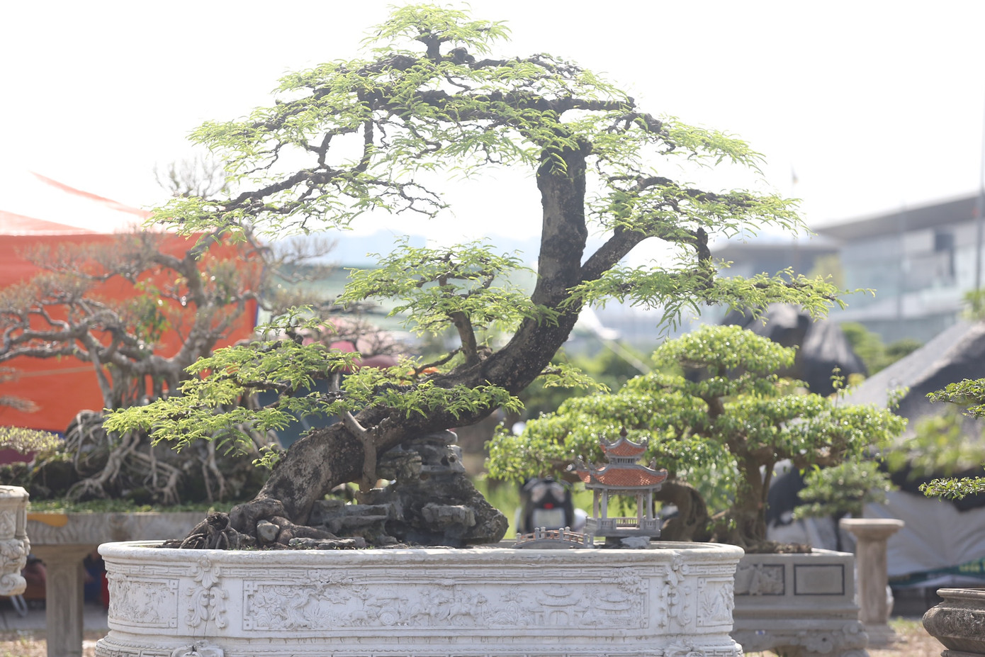 Nhiều tác phẩm, tên nghệ nhân, giá không được tiết lộ, chỉ mang đến trưng bày.