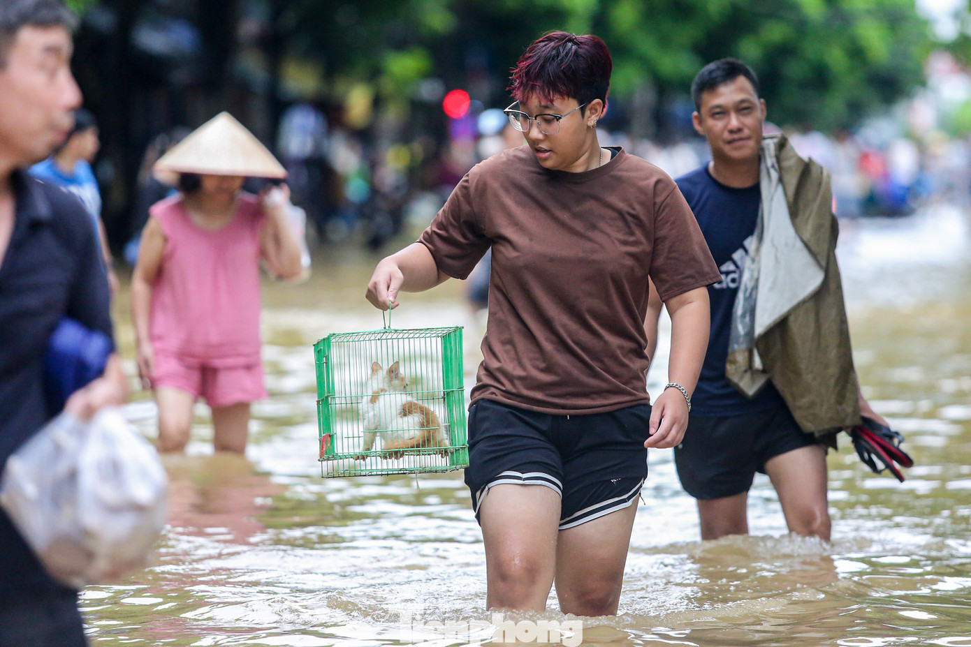 Thú cưng được người dân mang đi khi di tản.