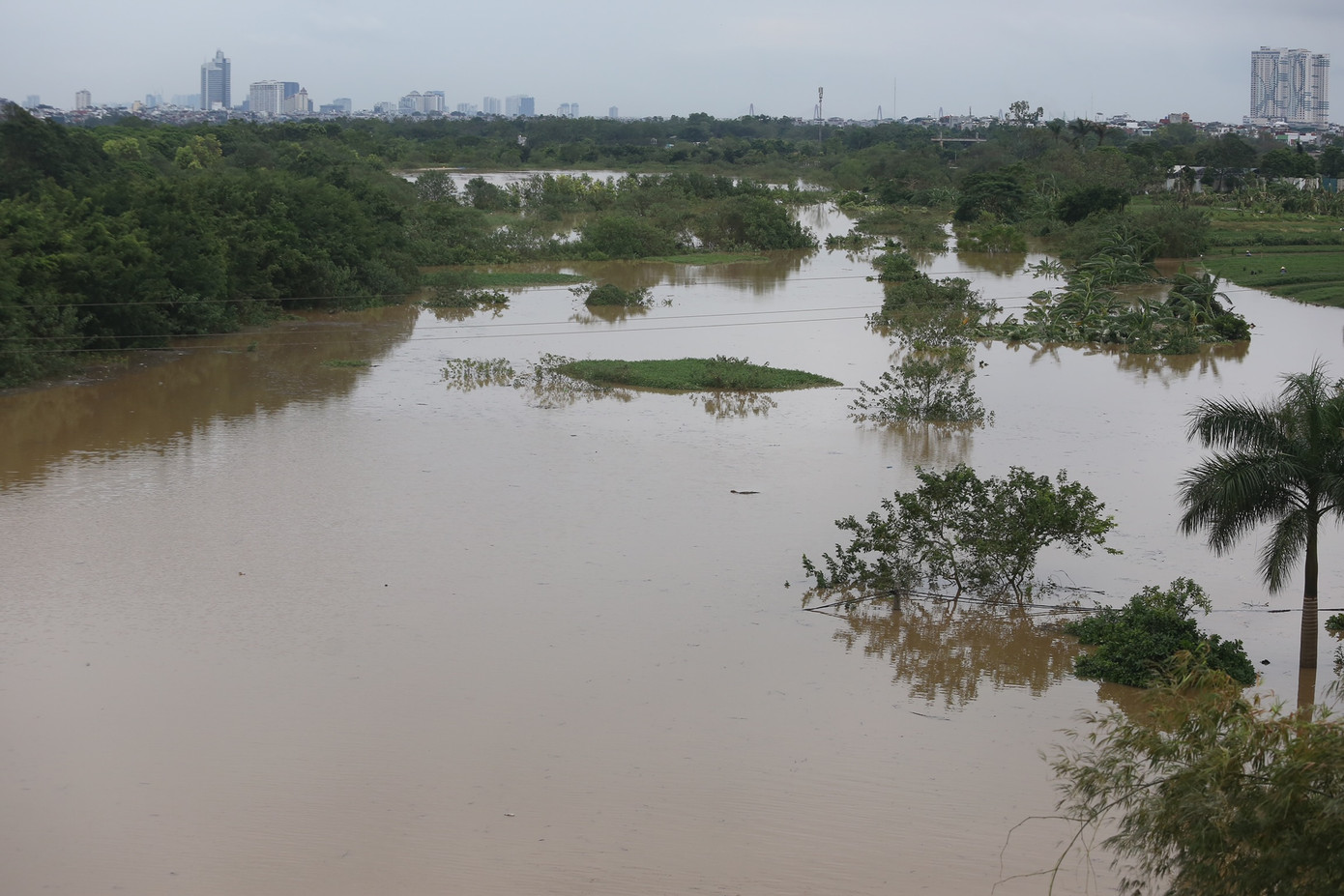 Các lối đi từ đê xuống bãi bồi chân cầu Vĩnh Tuy chìm trong biển nước.