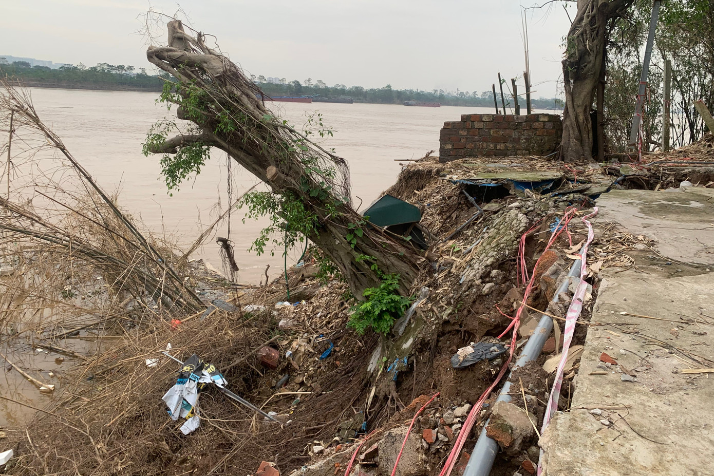 Nhiều cây cổ thụ bị cuốn trôi, một số cây nghiêng ngả, chờ đổ.