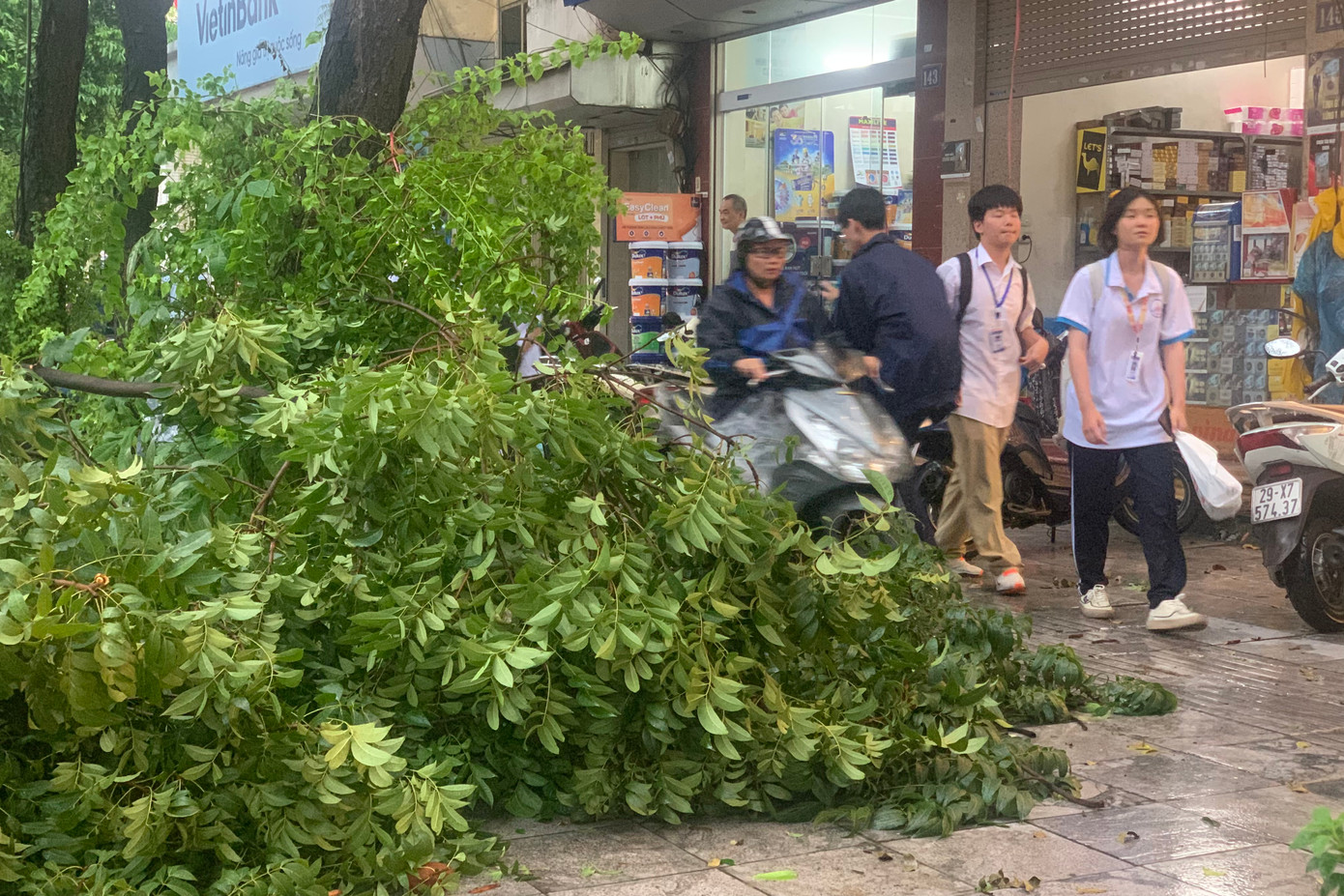 Cây đổ ra vỉa hè. Cây đổ ra vỉa hè.