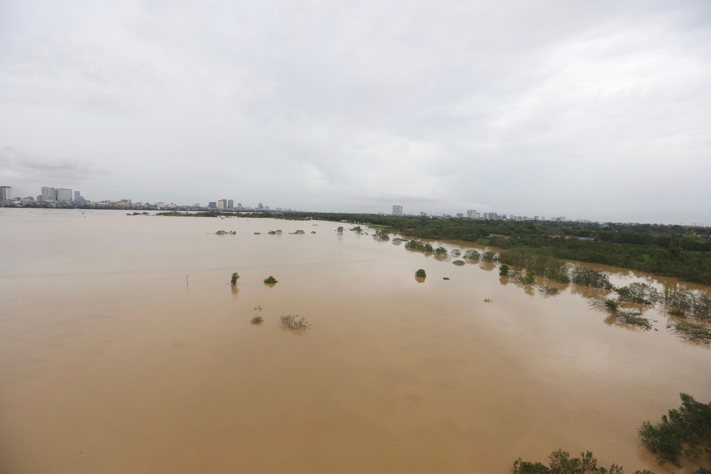 Bãi đất rộng hơn 10ha với nhiều cây trồng bị nhấn chìm trong nước.