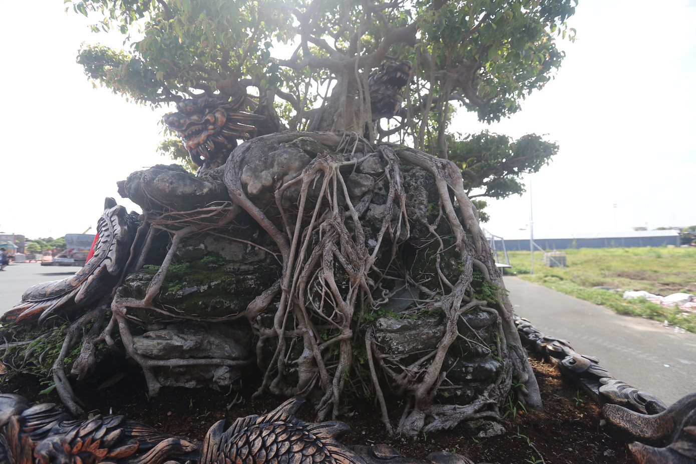 Tác phẩm gây ấn tượng, thu hút người xem tại Festival Sinh vật cảnh Hà Nội.