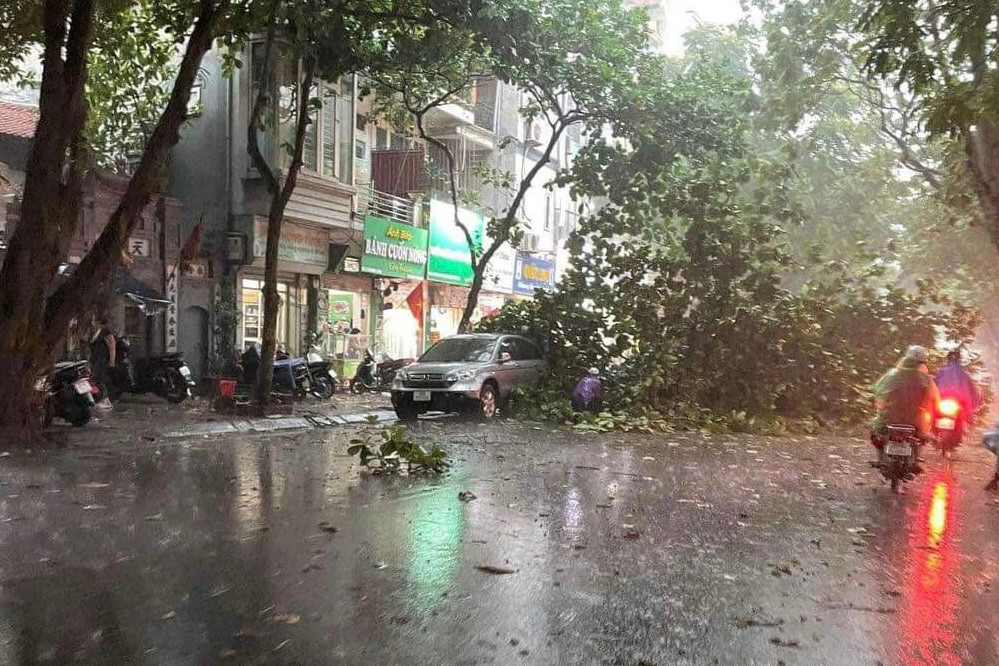 Cây đổ chắn cả đường. Cây đổ chắn cả đường.