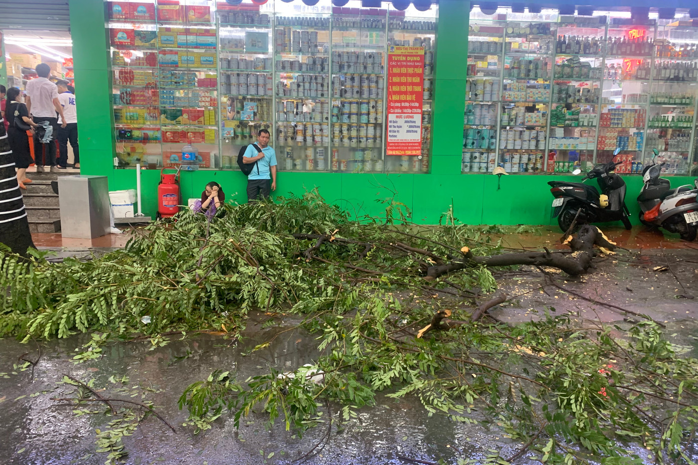 Cành cây gãy đổ xuống trước cửa một siêu thị, rất may không trúng ai. Cành cây gãy đổ xuống trước cửa một siêu thị, rất may không trúng ai.