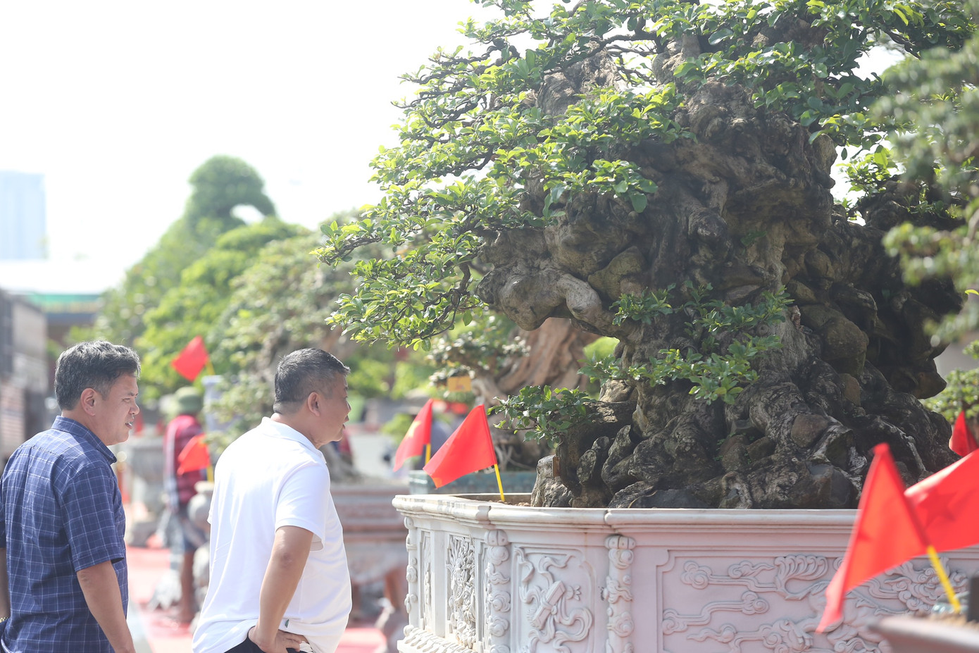 Festival thu hút rất nhiều người dân và du khách đến chiêm ngưỡng thưởng thức hơn 33.000 tác phẩm.