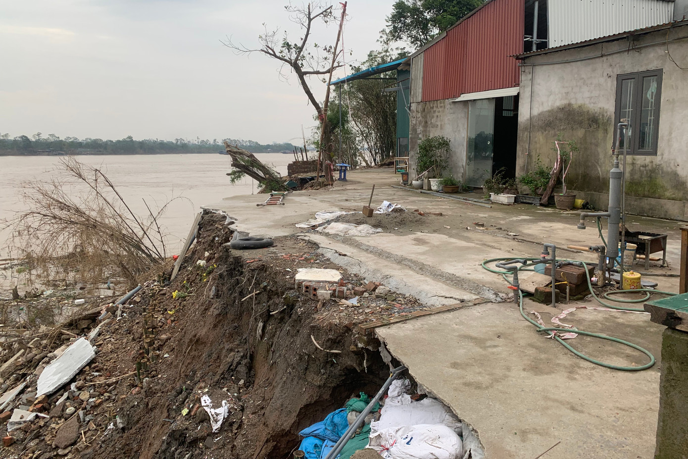 Khu vực sạt lở nghiêm trọng tại để tả sông Hồng cuốn trôi hàng trăm mét vuông đất.