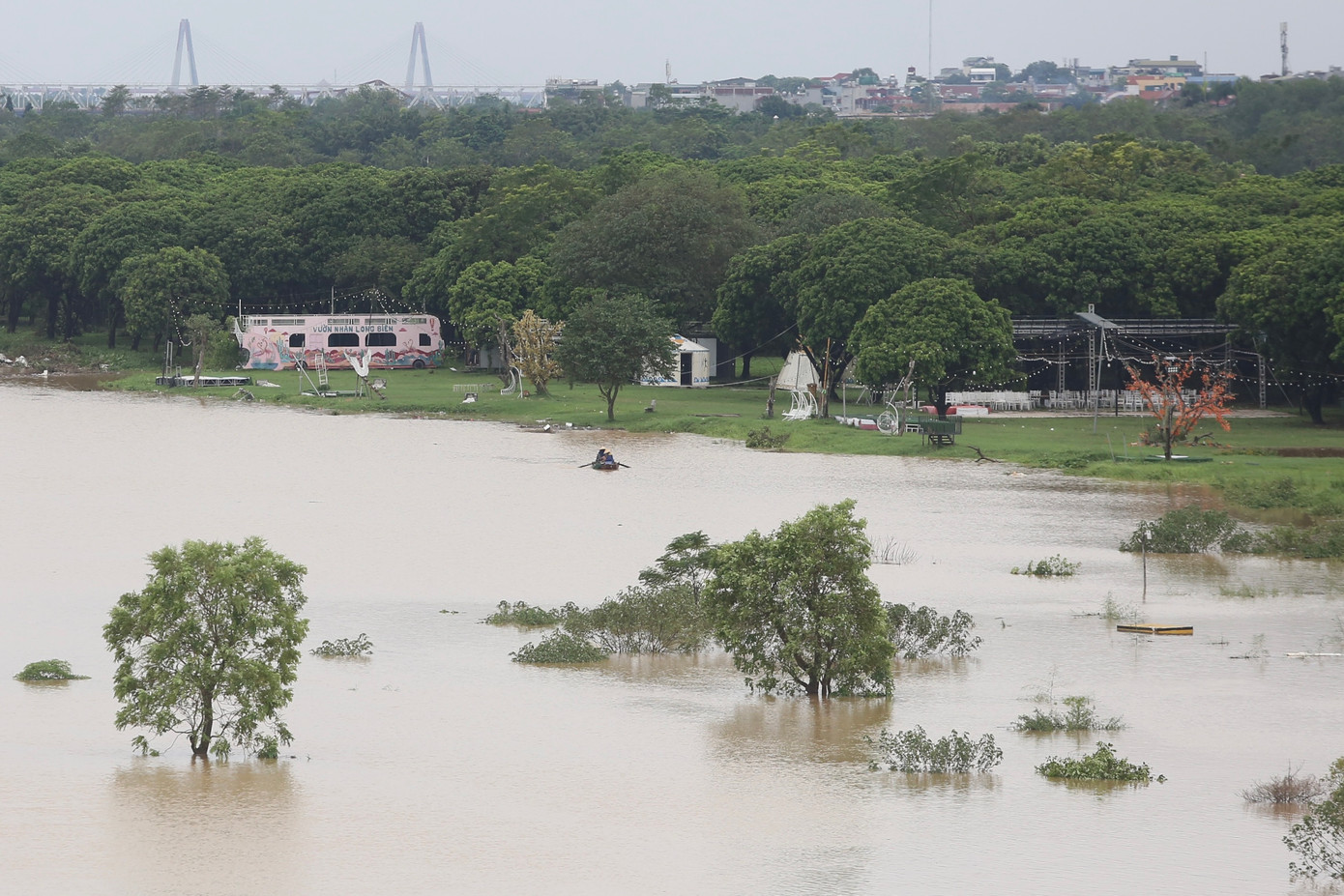 Nước ngập sâu vào tận trong vườn nhãn.