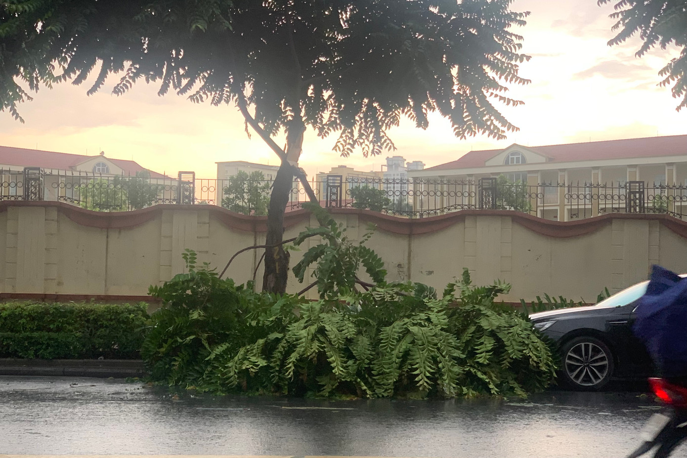 Cây gãy đổ ra đường Lê Trọng Tấn (quận Thanh Xuân). Cây gãy đổ ra đường Lê Trọng Tấn (quận Thanh Xuân).