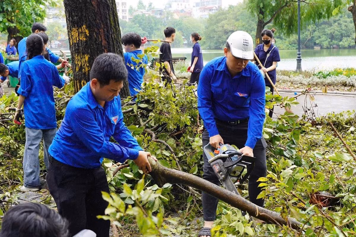 Các cành cây nhỏ sẽ được dùng cưa tay xử lý tại chỗ, với các cây to sẽ được Công ty Công viên cây xanh kiểm tra, đánh giá.