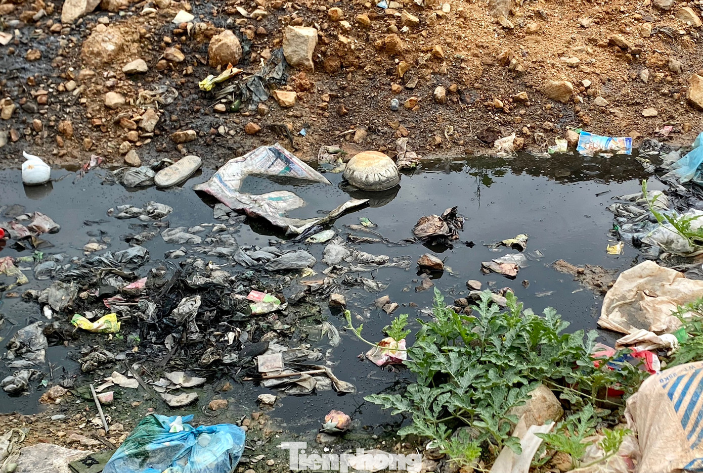 Những ngày nắng nóng, bãi rác ngập mùi hôi thối; mưa xuống lại chảy nước bẩn, đục ngầu. Người dân quanh khu vực này luôn phải sống trong bầu không khí ô nhiễm. Ông C., 59 tuổi, tổ dân phố Đông cho biết, từ khi rác của toàn thị xã được đưa về đây tập kết, cuộc sống của người dân xung quanh bị đảo lộn. Họ luôn phải đóng cửa để tránh ruồi nhặng, mùi hôi thối bay vào nhà. Người dân đã kiến nghị nhiều lần lên chính quyền địa phương với mong muốn di dời bãi rác.