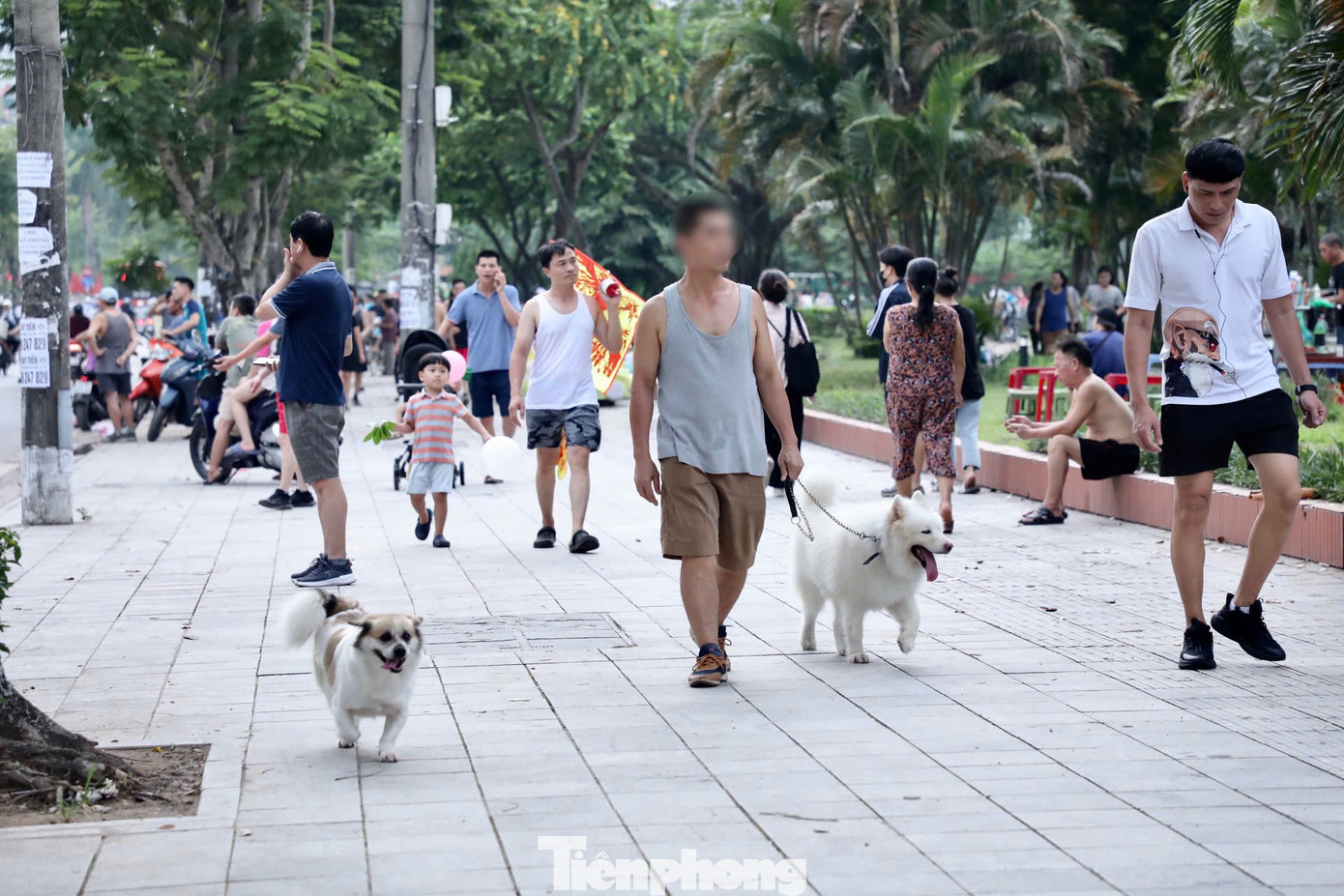 Tại công viên hồ Đền Lừ (quận Hoàng Mai, Hà Nội) hàng chục con chó không đeo rọ mõm, thả rông cũng thoải mái đi lại, "giao lưu" với nhau.