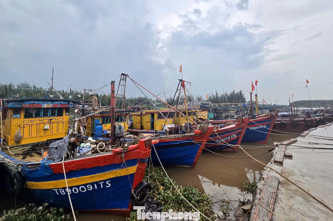 Các tàu, thuyền về nơi neo đậu an toàn.