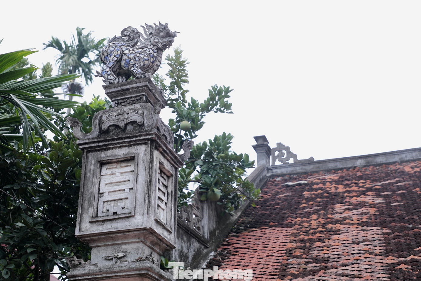 Theo văn bia ghi lại, nhà thờ tổ dòng họ Nguyễn Phú được xây dựng năm Ất Sửu, đời vua Tự Đức (1865) kiến trúc theo kiểu chữ "Nhị". Nhà thờ rộng hơn 220 m2, gồm 3 gian nhà gỗ lợp ngói đơn sơ, giản dị theo lối kiến trúc nhà thờ cổ ở miền Bắc.