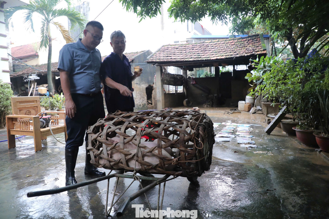 Đoàn công tác đến Tổ dân phố Đông, phường Đồng Bẩm thăm gia đình ông Nguyễn Văn Cương là gia đình khó khăn, nước ngập sâu nhất khu phố. Khi nước sông Cầu lên cửa nhà, ông Cương chỉ kịp di chuyển 2 con lợn giống. Đồ đạc, nhà cửa, gia súc, gia cầm bị cuốn trôi, ước tính thiệt hại hơn 20 triệu đồng.