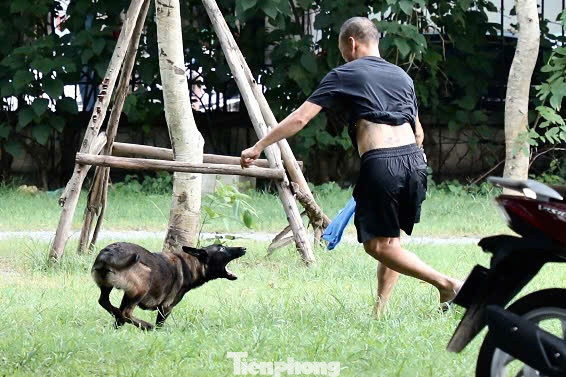 Một người đàn ông trung niên huấn luyện cho chó becgie tại công viên. Becgie là dòng chó hung dữ, hiếu chiến, nhiều người đã bị chúng cắn gây thương tích, thậm chí tử vong. Việc chủ nhận không tuân thủ quy định, dắt chó ra đường không đeo rọ mõm và thả rông tiềm ẩn nguy hiểm cao cho người xung quanh.