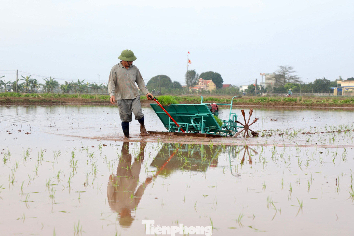 "Cấy máy giúp giải phóng sức lao động, đồng thời lúa sẽ đều, ít sâu bệnh, năng suất cao hơn so với cấy tay 10-15%", ông Trần Duy Độ nói và cho biết chiếc máy cấy chạy xăng của ông có giá gần 20 triệu đồng.