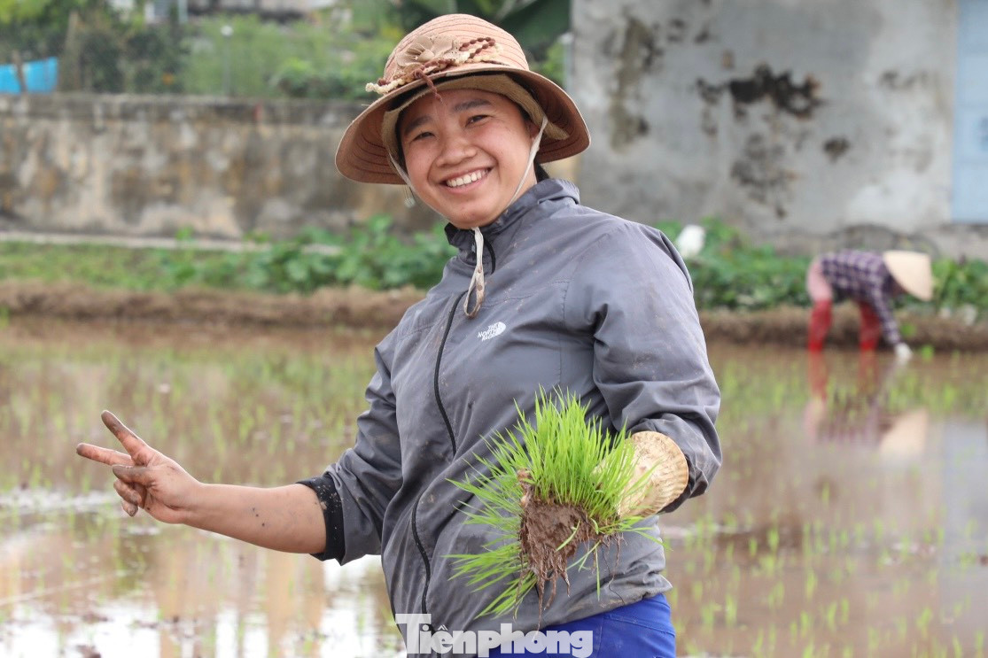 Cách đó không xa, gia đình chị Phan Thị Nhung (35 tuổi, xã Hồng Thuận) năm nay gieo cấy lúa trên diện tích 3 mẫu ruộng. Chị Nhung hy vọng mùa vụ năm nay mưa thuận gió hòa, cây lúa phát triển tốt tươi. “Tôi mong sao cây lúa khỏe mạnh, không sâu bọ, thời tiết ủng hộ và giá thành phân lân, thuốc trừ sâu giảm để bà con có thu nhập cao hơn”, chị Nhung phấn khởi.