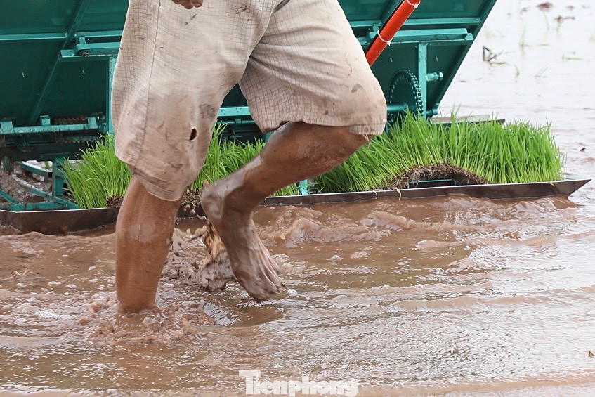 "Cấy máy giúp giải phóng sức lao động, đồng thời lúa sẽ đều, ít sâu bệnh, năng suất cao hơn so với cấy tay 10-15%", ông Trần Duy Độ nói và cho biết chiếc máy cấy chạy xăng của ông có giá gần 20 triệu đồng.