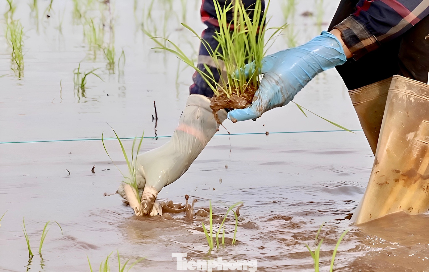 Không khí sản xuất đầu năm mới đã trở nên hối hả, hứa hẹn một mùa bội thu.