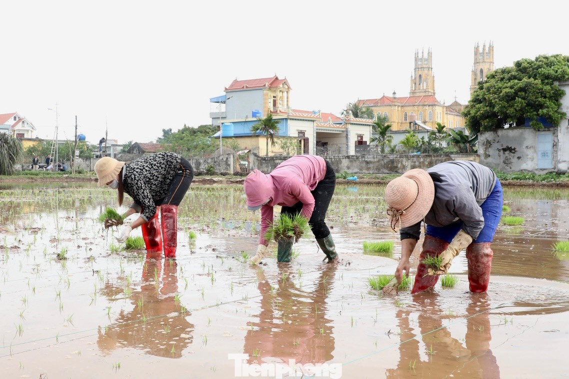 Không khí sản xuất đầu năm mới đã trở nên hối hả, hứa hẹn một mùa bội thu.