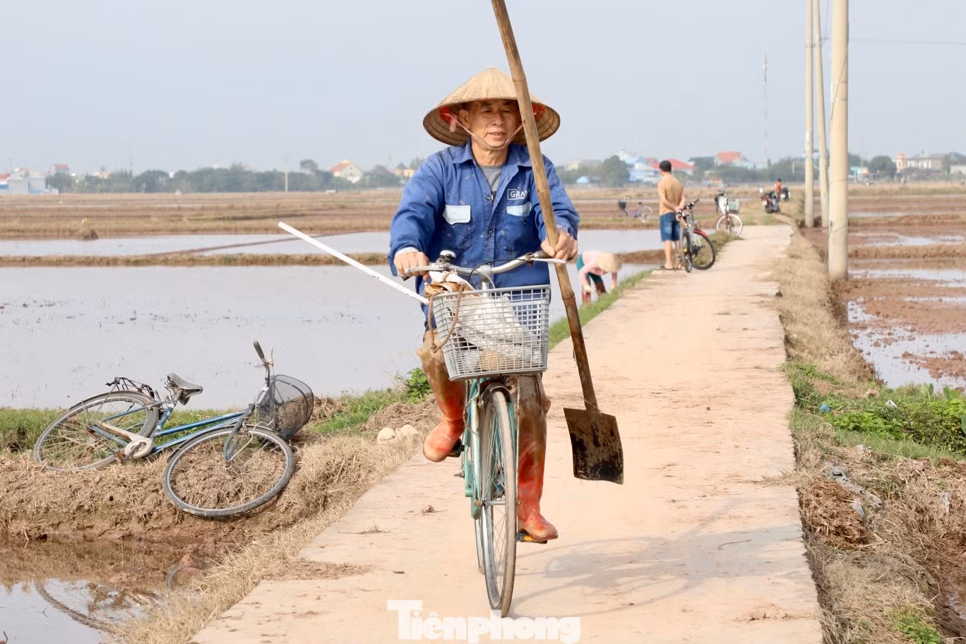 Mùa xuân mở ra những ước mơ, khát vọng và khởi đầu tươi sáng, ấm áp.