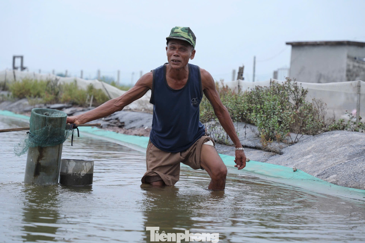 Ông Đinh Văn Bảo đang lấy thêm nước ngọt vào đầm ngao.