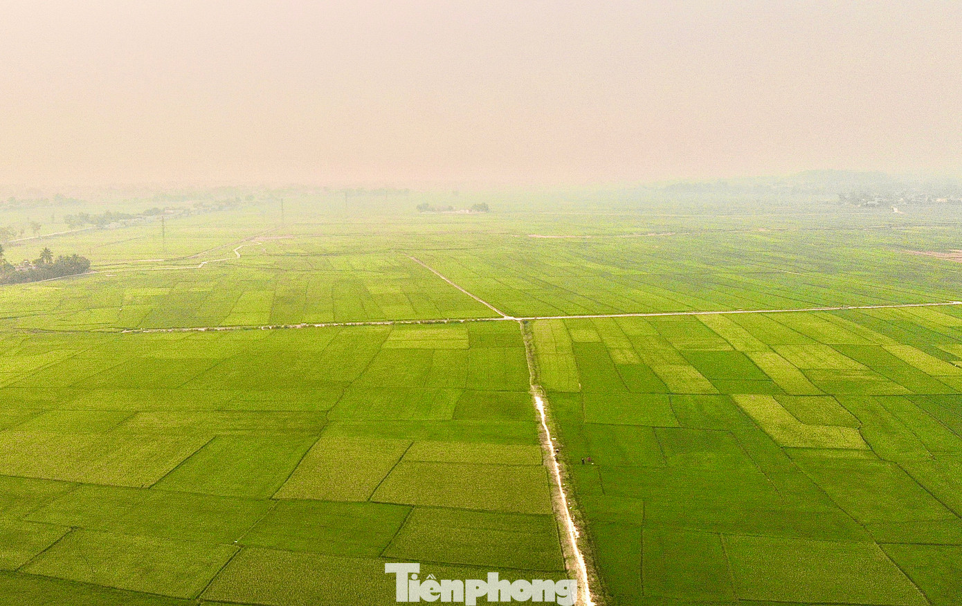 Trên độ cao hơn 400 m so với mặt nước biển, cánh đồng Mường Thanh trải dài hơn 20 km với chiều rộng trung bình 6 km. Từ trên cao nhìn xuống, cánh đồng Mường Thanh chạy dọc theo bờ sông Nậm Rốm xòe ra như cánh hoa ban ôm lấy di tích lịch sử của trận chiến ngày nào.