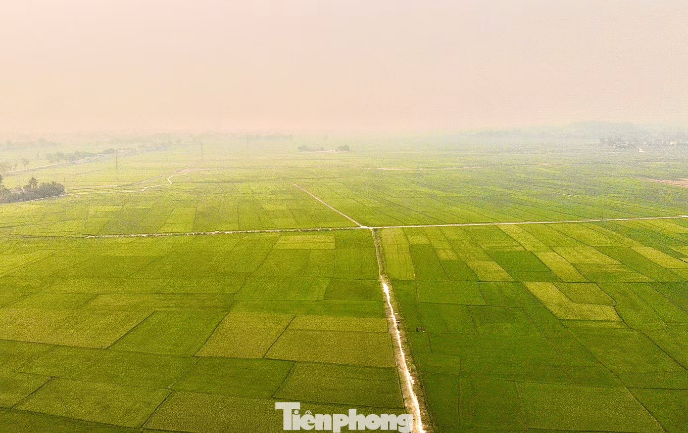 Trên độ cao hơn 400 m so với mặt nước biển, cánh đồng Mường Thanh trải dài hơn 20 km với chiều rộng trung bình 6 km. Từ trên cao nhìn xuống, cánh đồng Mường Thanh chạy dọc theo bờ sông Nậm Rốm xòe ra như cánh hoa ban ôm lấy di tích lịch sử của trận chiến ngày nào.
