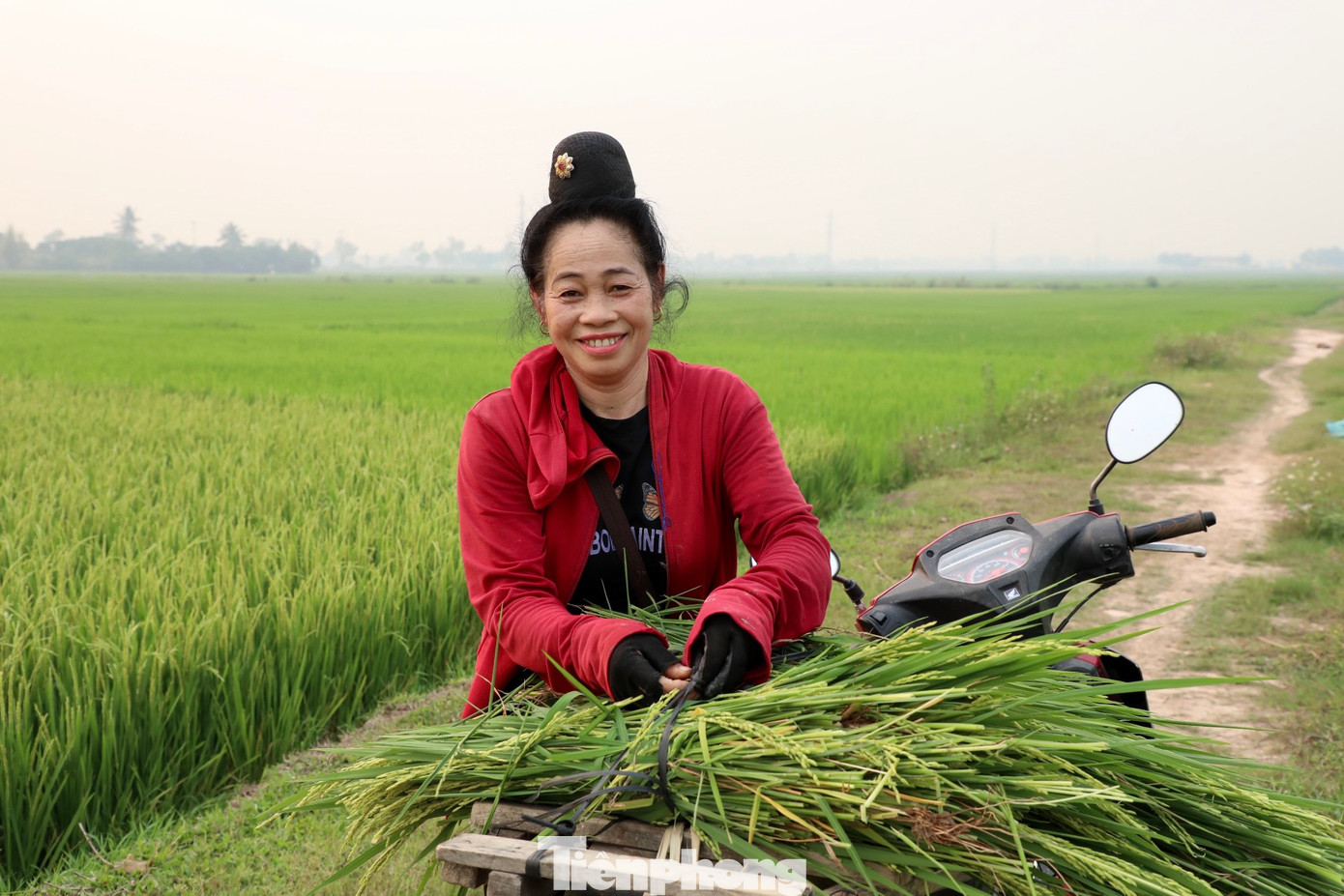 Là đồng bào dân tộc Thái, quanh năm gắn bó với ruộng đồng, bà Lường Thị Minh (55 tuổi, xã Thanh An, huyện Điện Biên) chia sẻ: “So với vụ chiêm trước thì năm nay cây lúa phát triển tốt hơn. Hiện tại, cây lúa đang trong giai đoạn làm đòng nên tôi phải thường xuyên thăm đồng, chăm nom. Hi vọng mùa vụ năm nay sẽ bội thu”.