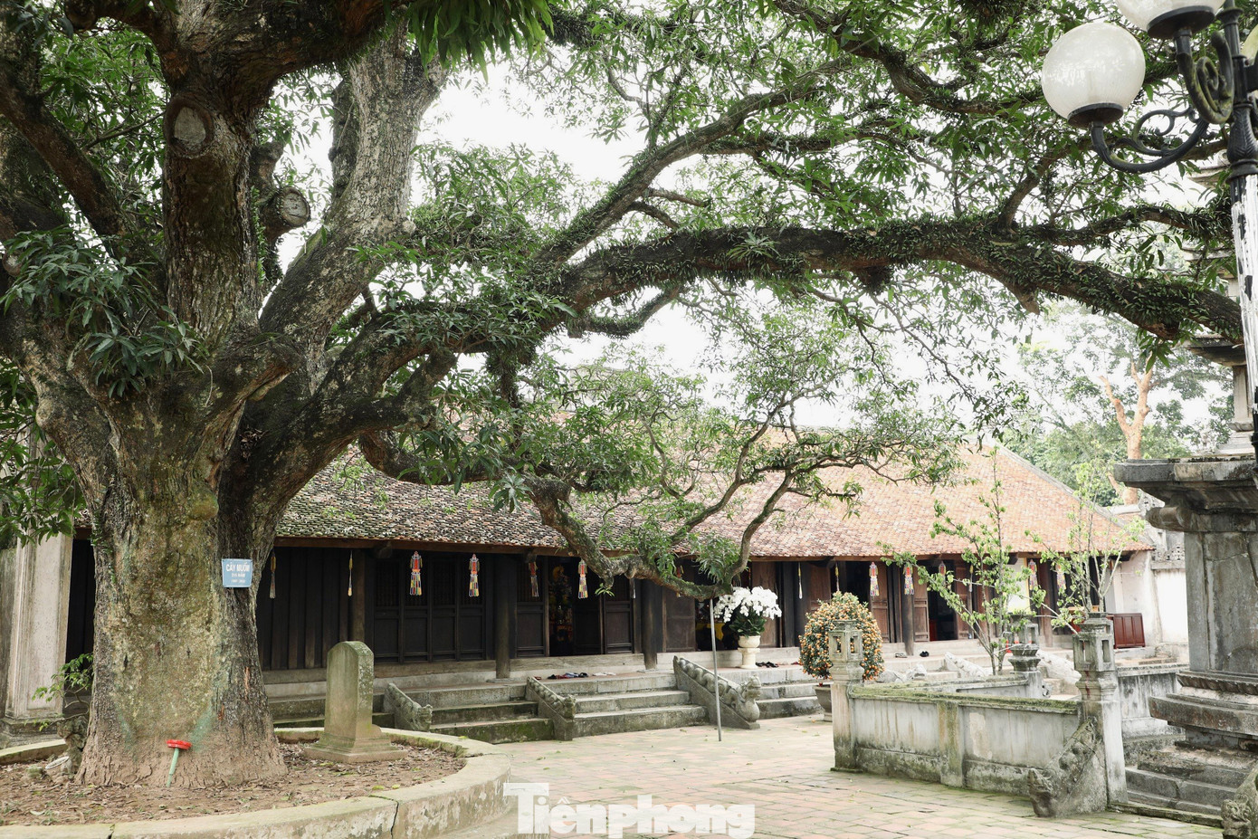 Kiến trúc chùa Phổ Minh gồm Cổng Tam quan, Tiền đường, Thiêu hương, Thượng điện, tháp Phổ Minh, hành lang, nhà tổ, phủ Mẫu… Ngoài ra, trong khuôn viên chùa còn có hai cây muỗm cổ thụ, được công nhận là cây di sản Việt Nam.