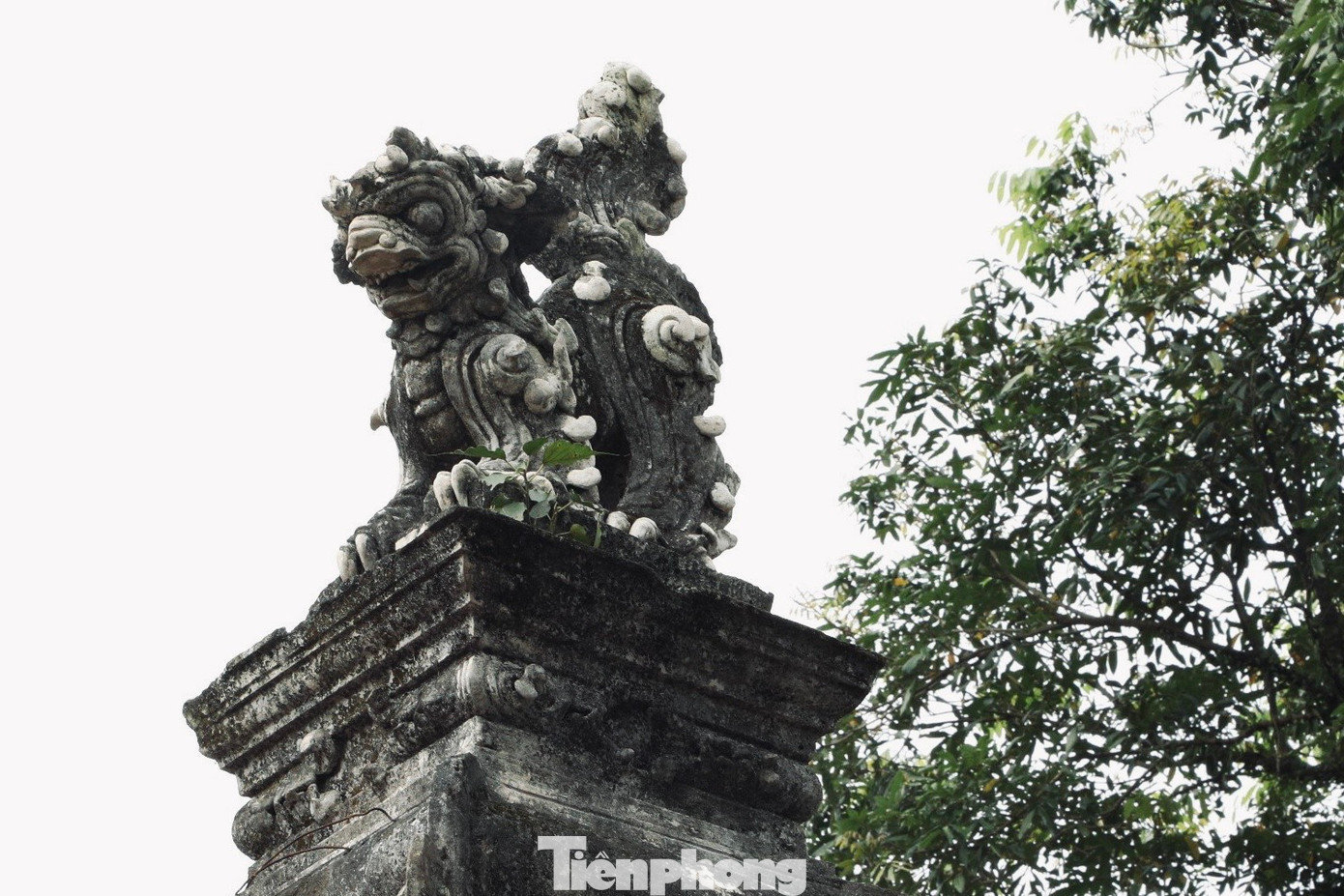 Các công trình kiến trúc trong chùa được chạm khắc tinh xảo mang đậm dấu ấn của thời Trần. Chùa Phổ Minh cũng là nơi lưu giữ được nhiều cổ vật giá trị, góp phần quan trọng vào việc nghiên cứu về kinh tế, chính trị, văn hóa - xã hội của nước ta dưới triều Trần.