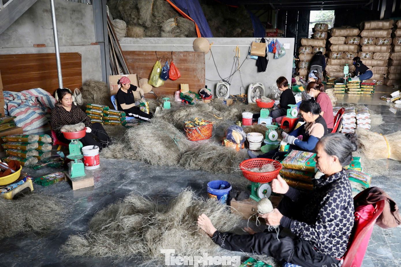 Hiện nay, xã Tân Hòa hiện có 65 hộ sản xuất miến dong, cung cấp ra thị trường khoảng 200 tấn miến dong/ngày. Đây cũng là giai đoạn bận rộn nhất trong năm, khi lượng đơn hàng tăng đột biến. Những gia đình theo nghề miến dong lâu đời đã cải thiện đáng kể đời sống kinh tế. Miến làng So đã có mặt trên các tỉnh thành cả nước, thậm chí khách hàng tại thị trường châu Á (Nhật Bản, Hàn Quốc), châu Âu (Đức) đón nhận nhiệt tình. Việc sản xuất miến không chỉ duy trì, phát triển văn hóa làng nghề mà còn mang lại hiệu quả kinh tế cao, tạo công ăn việc làm ổn định cho lao động tại địa phương.