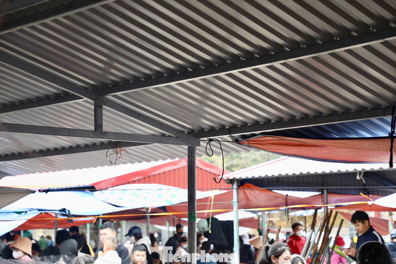 Trao đổi với PV báo Tiền Phong, ông Đặng Xuân Nghị - Chủ tịch UBND xã Giao Nhân - cho biết 6 dãy nhà ngói cổ đã được phá bỏ và xây dựng mới. “Theo năm tháng, nhiều hạng mục chợ Bể đã xuống cấp, những năm qua UBND xã Giao Nhân đã tiến hành tu sửa và nâng cấp chợ Bể. Tuy nhiên, 6 dãy nhà ngói cổ không thể tu sửa được nữa, cách đây vài tháng, địa phương đã nâng cấp, lợp mái tôn để đảm bảo an toàn cũng như thuận lợi cho việc giao thương của bà con”, ông Nghị cho biết.