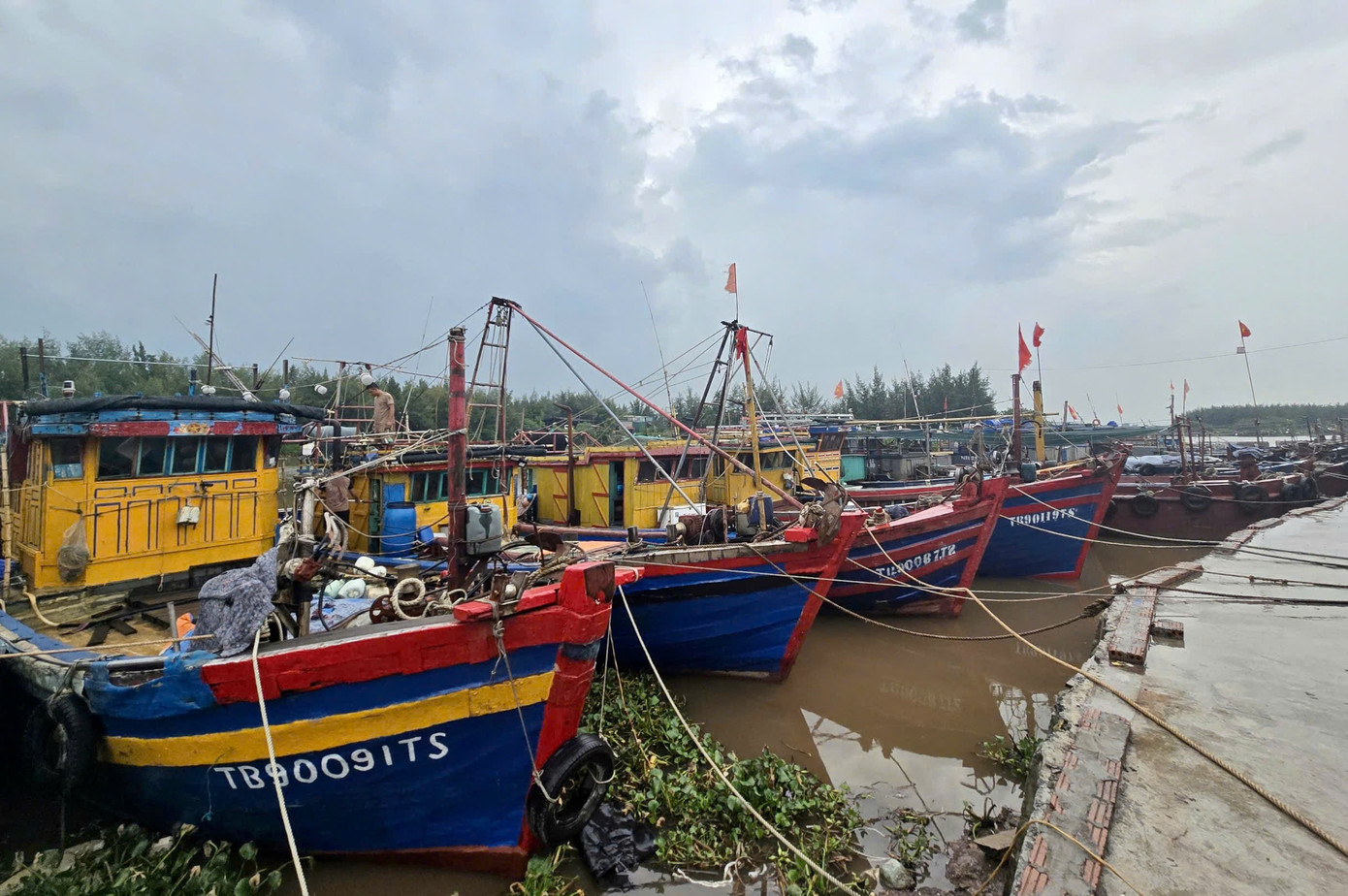 Bão số 3 vượt qua Phú Thọ, Hoà Bình, đi sâu vào Tây Bắc Bộ ảnh 10 Bão số 3 vượt qua Phú Thọ, Hoà Bình, đi sâu vào Tây Bắc Bộ ảnh 10